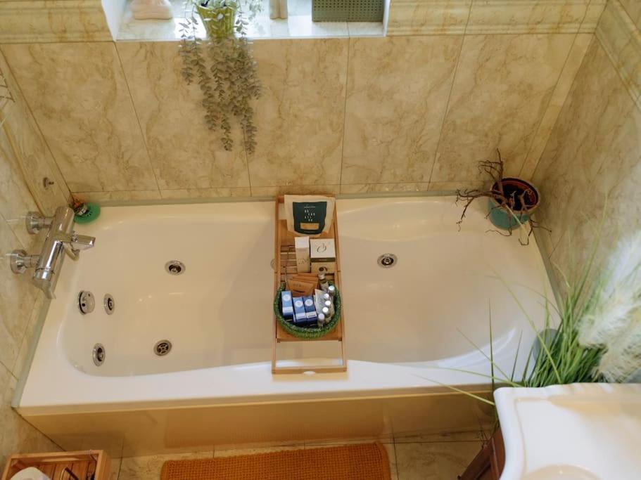 Terrasse Des Plongeurs Apartment บูคาเรสต์ ภายนอก รูปภาพ